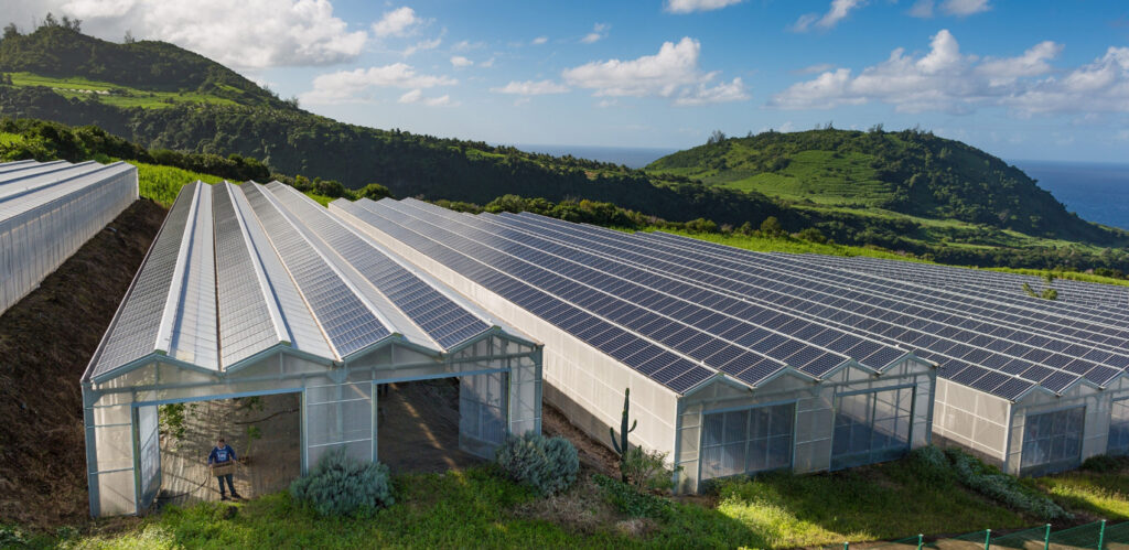 Agrisolar by Power Solar Europe