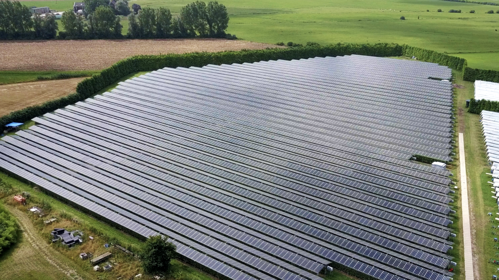 Drone shot from above of solar panels over raspberry crops.