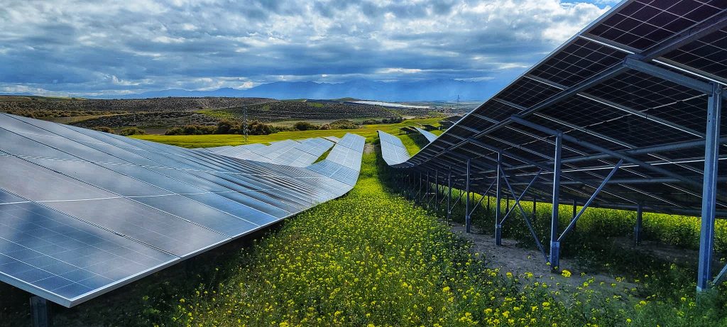 Solar panels among green fields and nature