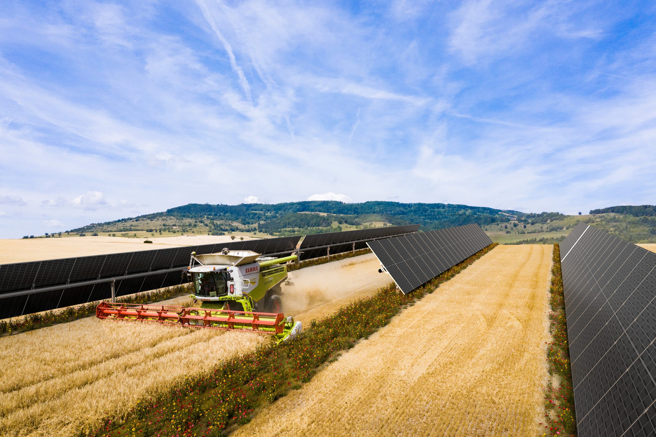 Harvesting a field with solar panels.