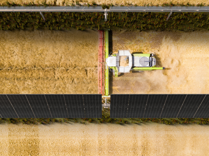 Harvester_Tracker_D_02_Bay_Wa_r_e_1cc9b4ba36