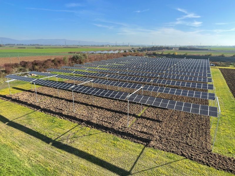 agrisolar solar agiculture farming