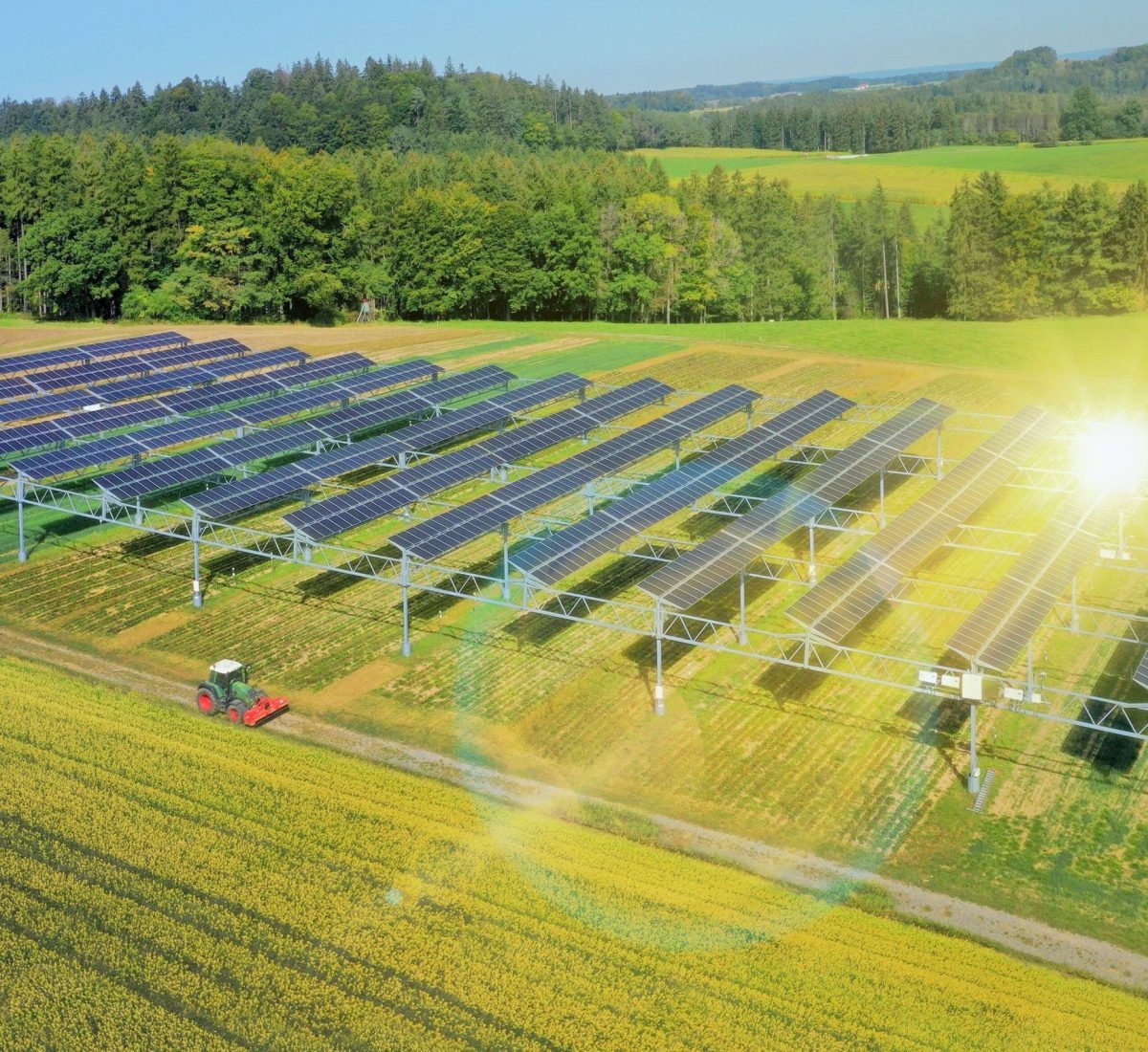 csm_Agri_Voltaics_IFE_Key_Visual_2_3_a054a989b5_6d73979d10_scaled_4e6d3ff7e8